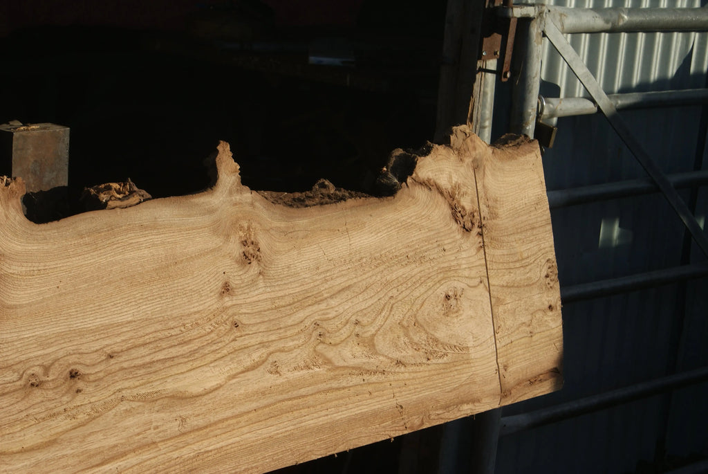Elm Slab, Kiln Dried 2796 L x 650 - 378 W x 39 D mm   (288) elm
