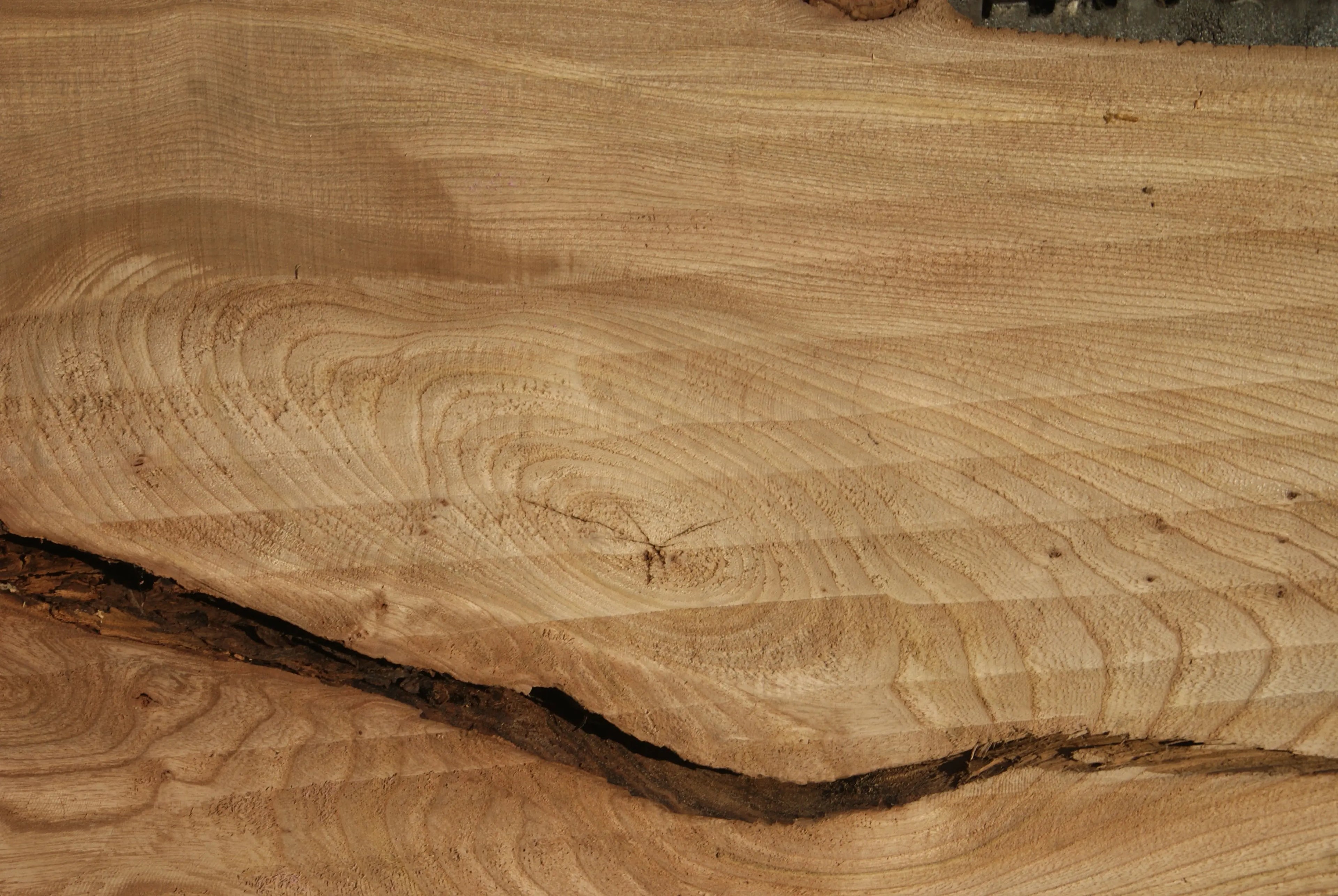 Elm Slab, Kiln Dried 2796 L x 650 - 378 W x 39 D mm   (288) elm