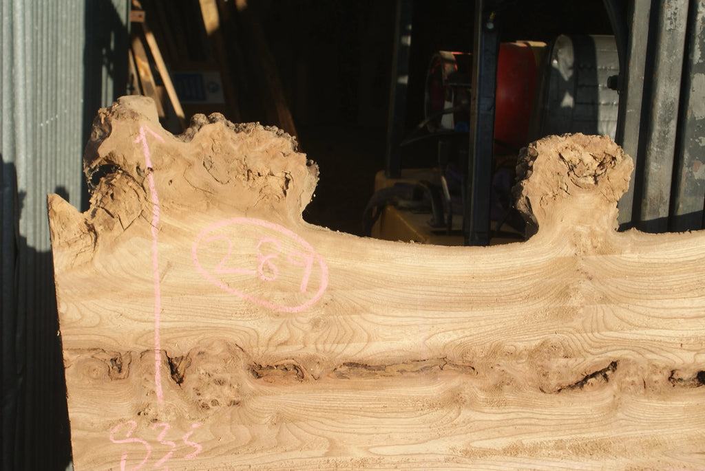 Burr Elm Slab, Kiln Dried 2370 L x 1010 - 585 W x 44 D mm   (289) elm