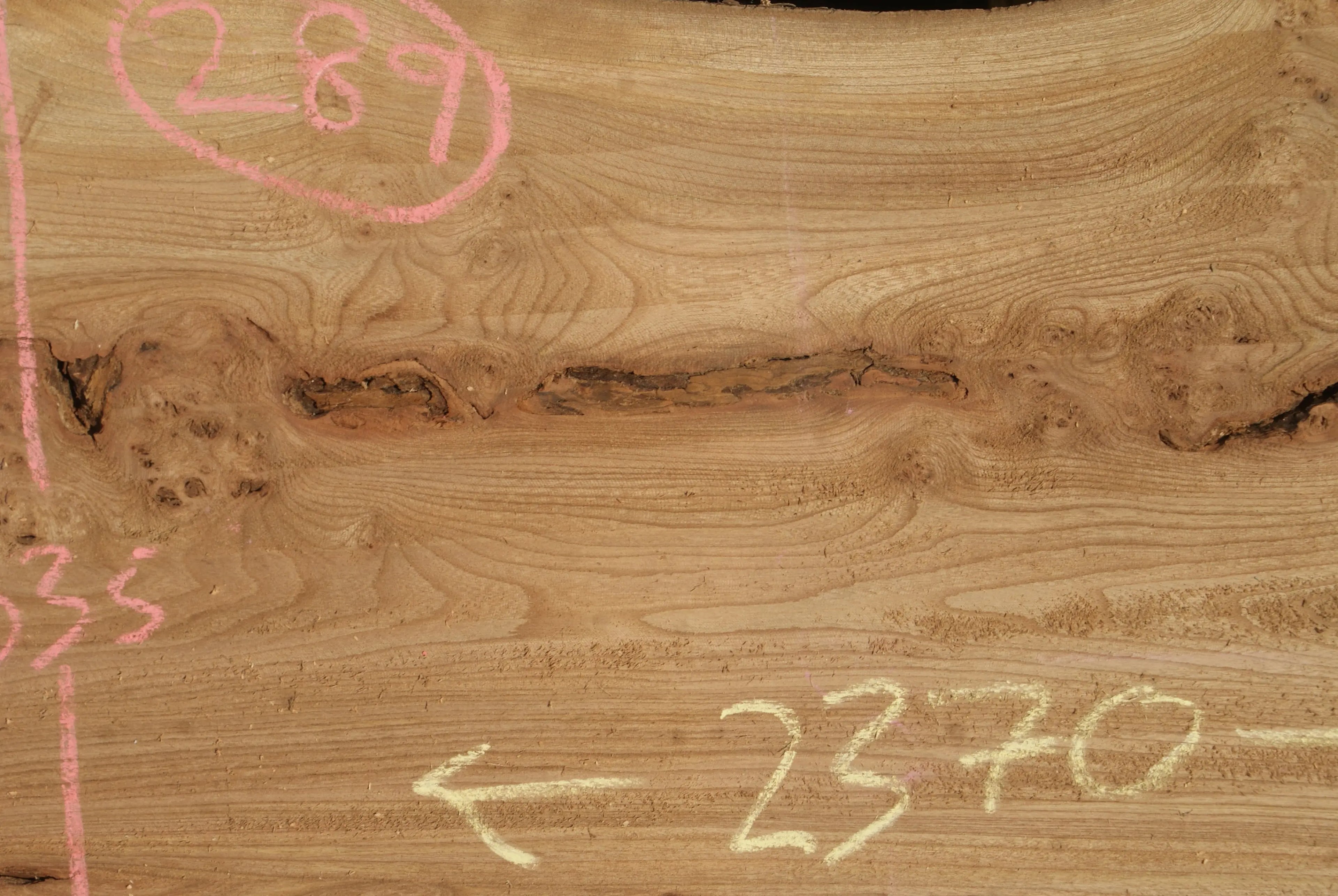 Burr Elm Slab, Kiln Dried 2370 L x 1010 - 585 W x 44 D mm   (289) elm