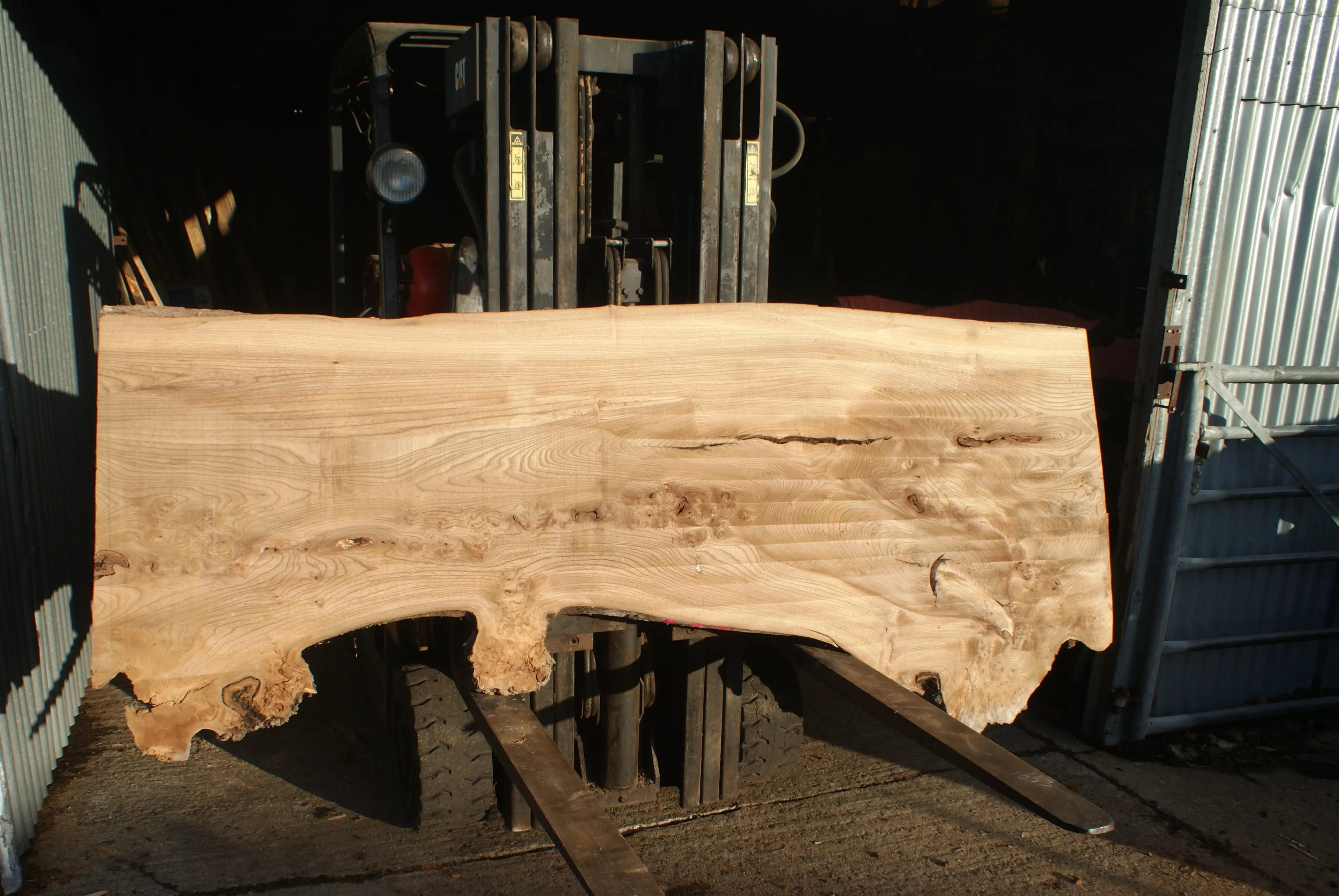 Burr Elm Slab, Kiln Dried 2370 L x 1010 - 585 W x 44 D mm   (289) elm