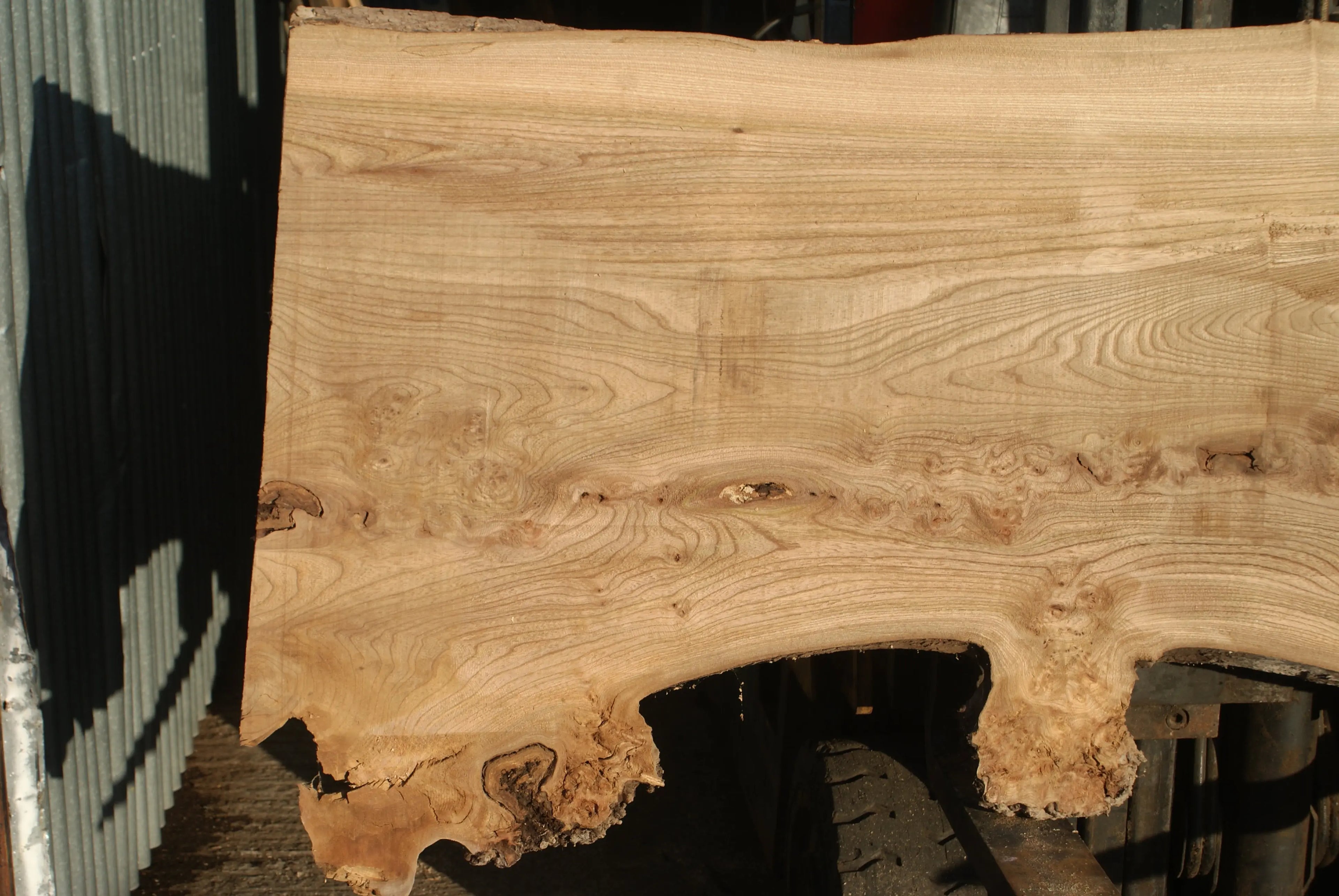 Burr Elm Slab, Kiln Dried 2370 L x 1010 - 585 W x 44 D mm   (289) elm