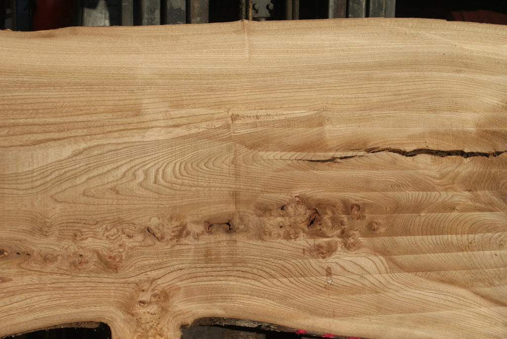 Burr Elm Slab, Kiln Dried 2370 L x 1010 - 585 W x 44 D mm   (289) elm