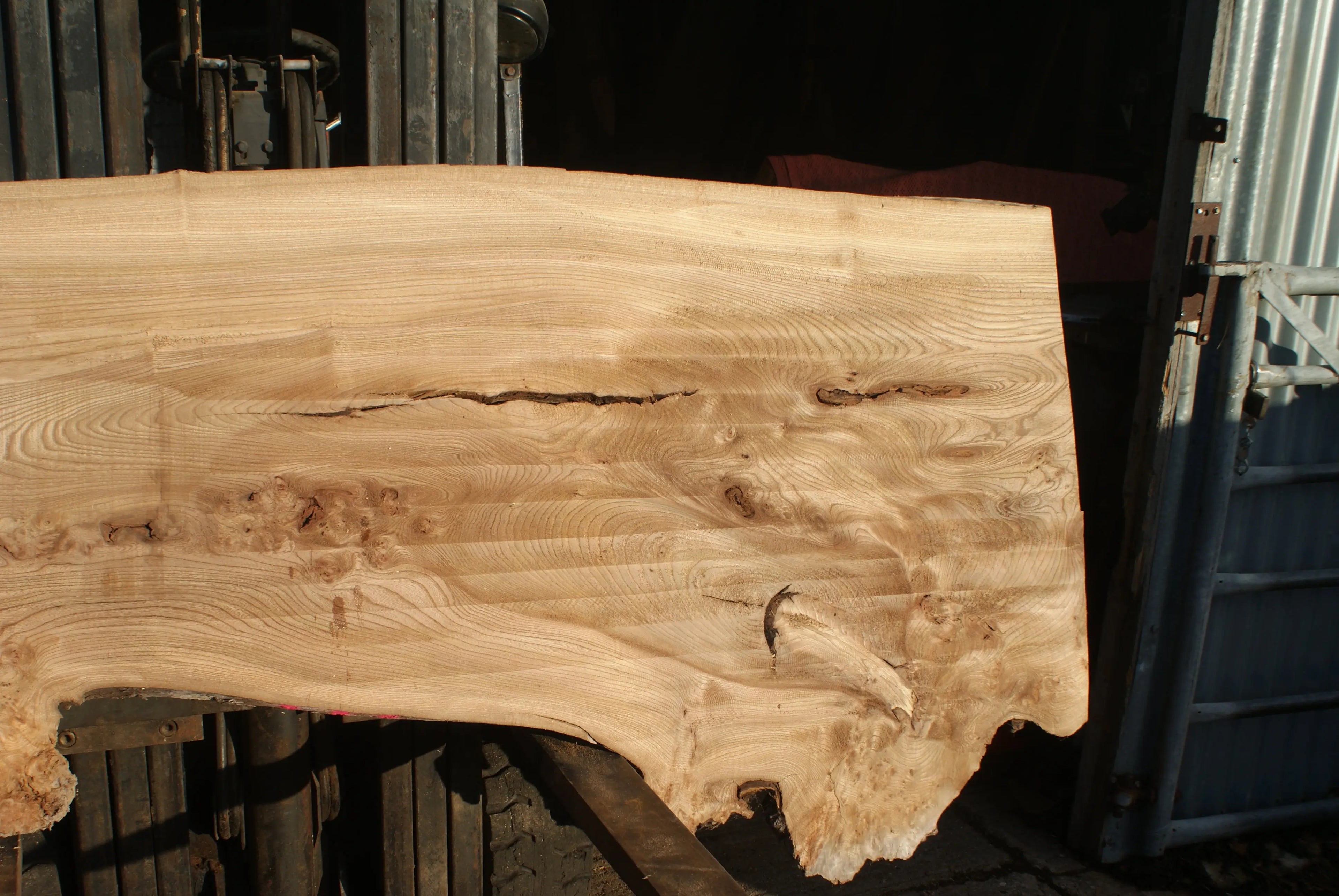 Burr Elm Slab, Kiln Dried 2370 L x 1010 - 585 W x 44 D mm   (289) elm