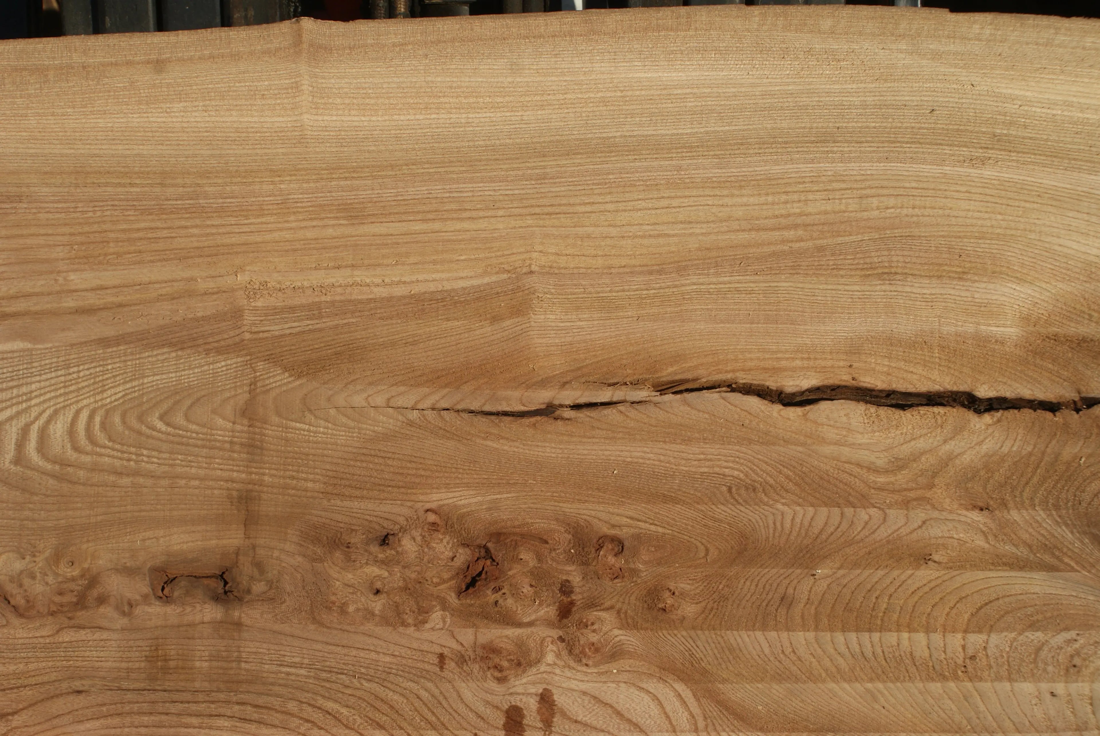 Burr Elm Slab, Kiln Dried 2370 L x 1010 - 585 W x 44 D mm   (289) elm