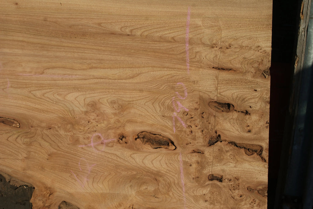 Burr Elm Slab, Kiln Dried 1600 L x 1000 - 545 W x 38 D mm   (291) elm