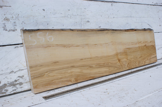 English Ash board (556)