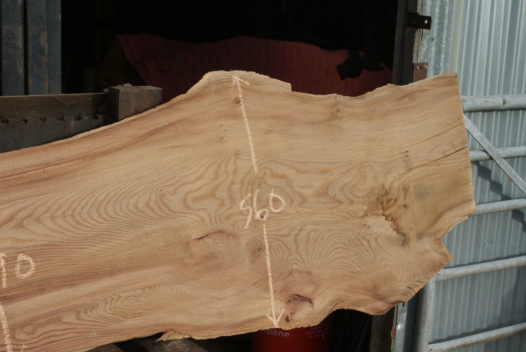 Elm Slab, Kiln Dried 2550 L x 560- 368 W x 47D mm   (294) elm