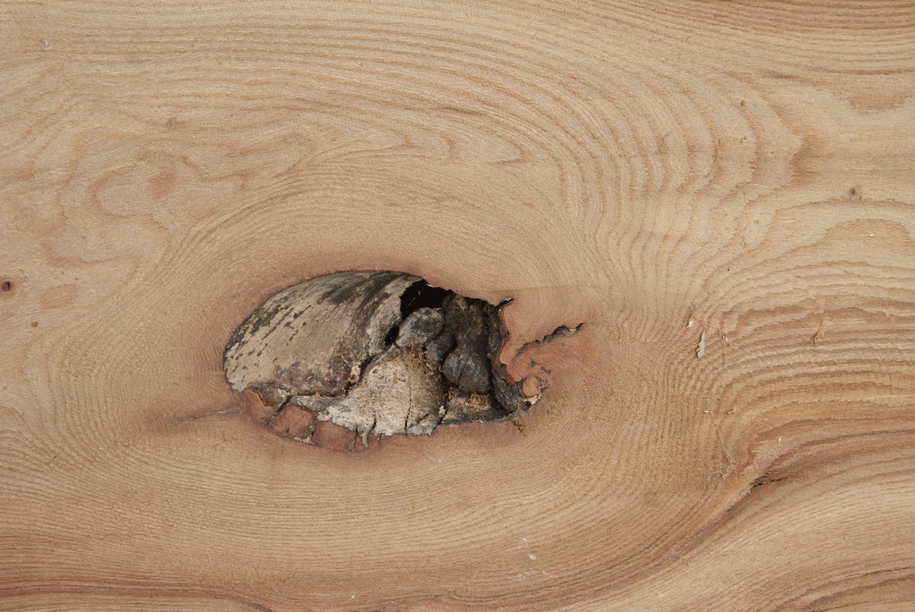 Elm Slab, Kiln Dried 2550 L x 560- 368 W x 47D mm   (294) elm