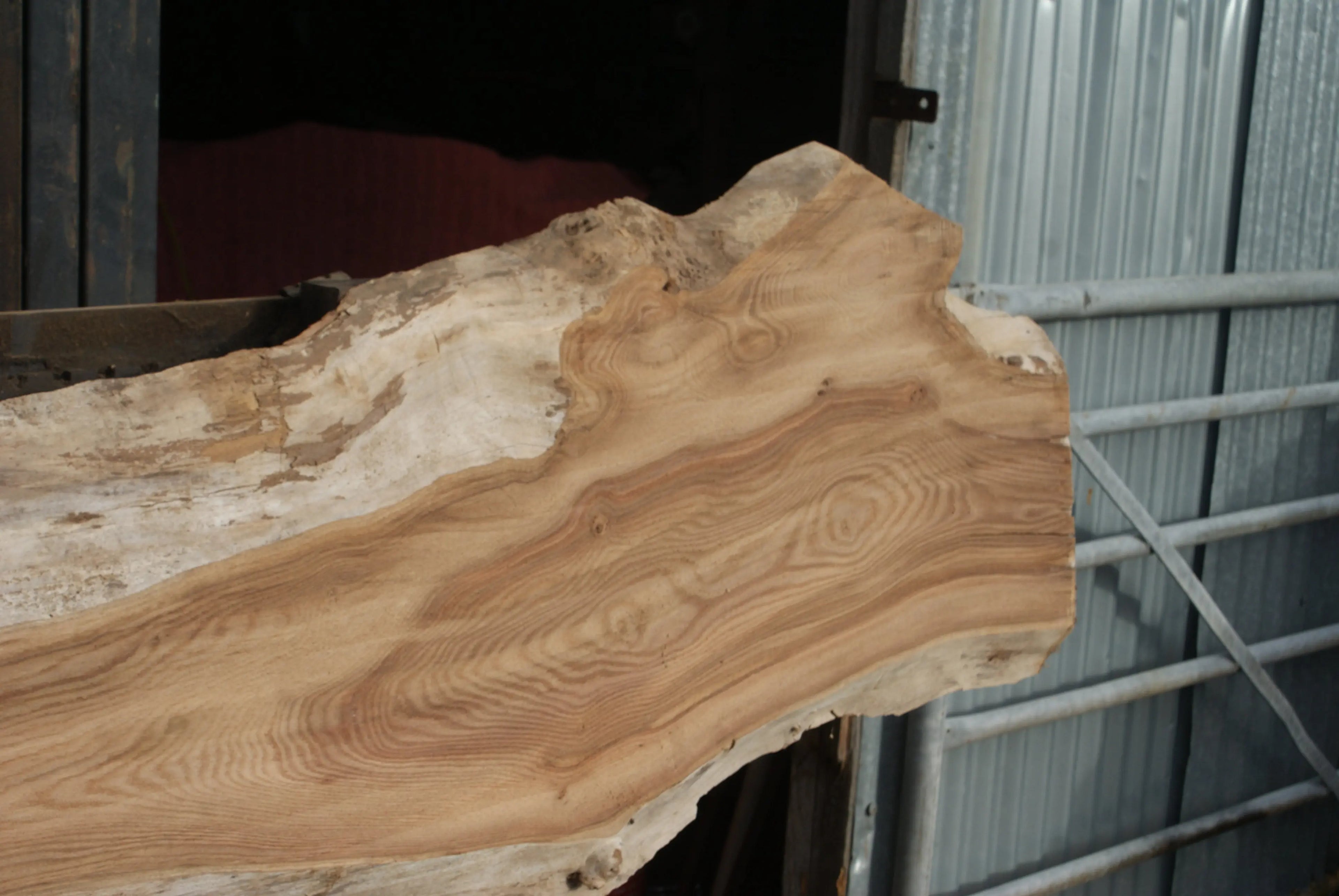 Elm Slab, Kiln Dried 2550 L x 560- 368 W x 47D mm   (294) elm