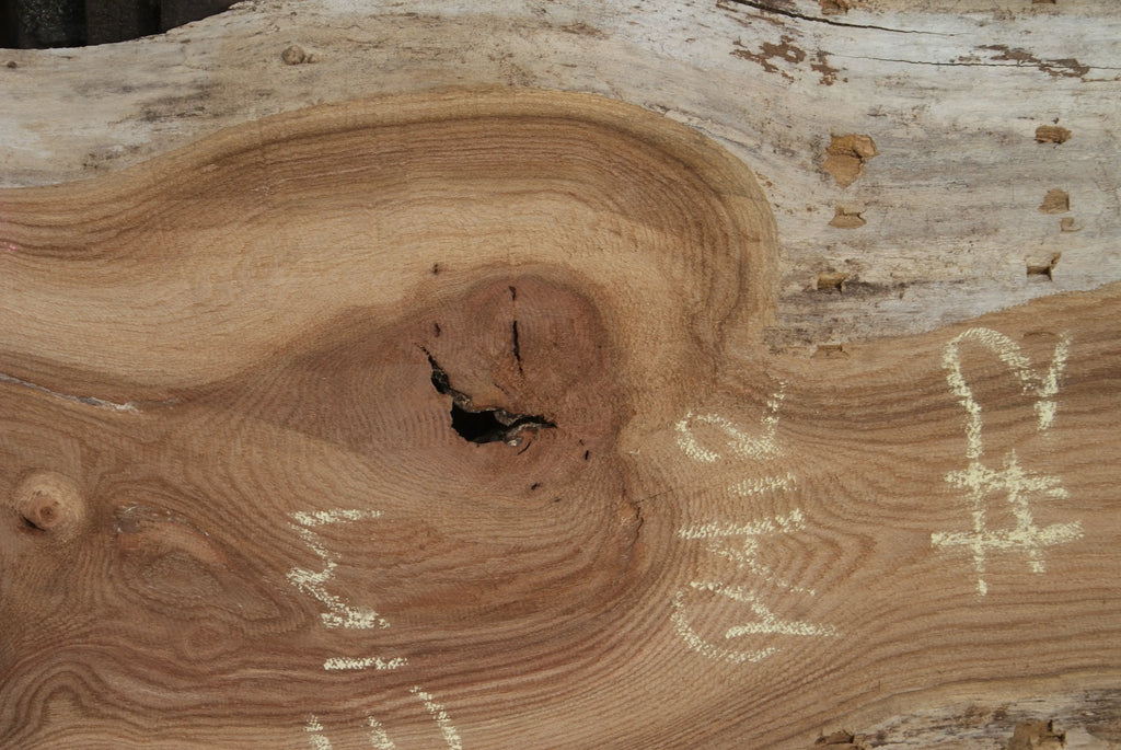 Elm Slab, Kiln Dried 2550 L x 560- 368 W x 47D mm   (294) elm