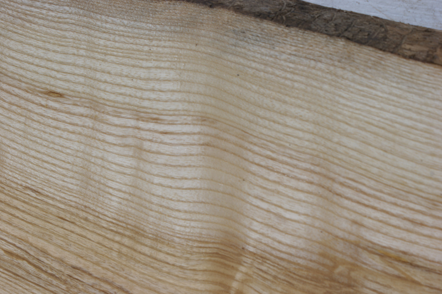 English Ash board (556)