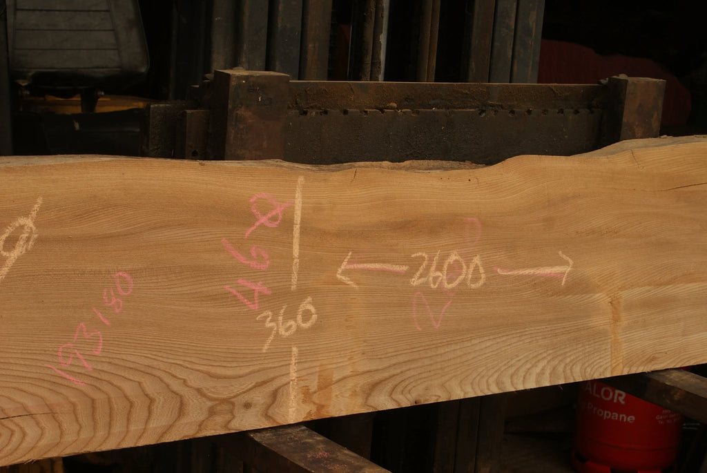 Elm Slab, Kiln Dried 2600 L x 460 - 342 W x 46 D mm   (298) elm
