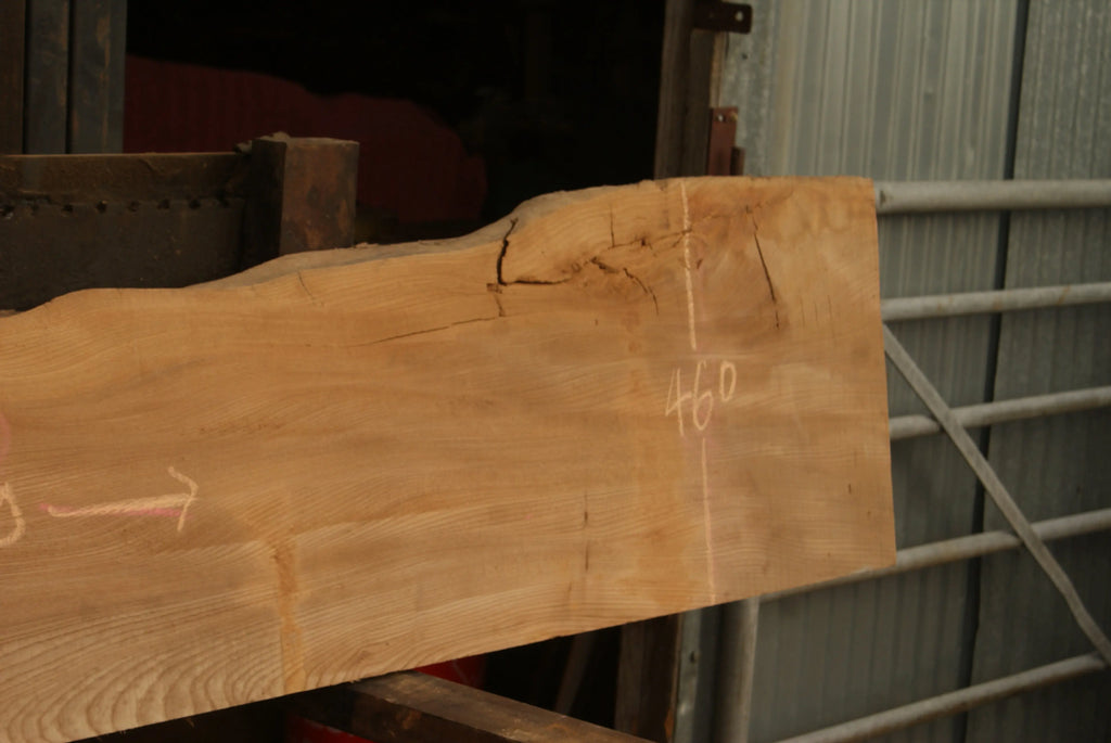 Elm Slab, Kiln Dried 2600 L x 460 - 342 W x 46 D mm   (298) elm