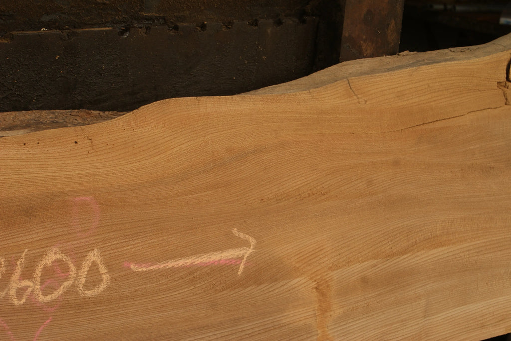 Elm Slab, Kiln Dried 2600 L x 460 - 342 W x 46 D mm   (298) elm