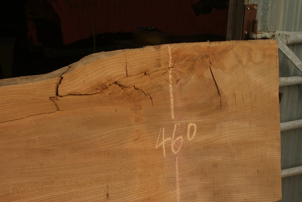 Elm Slab, Kiln Dried 2600 L x 460 - 342 W x 46 D mm   (298) elm