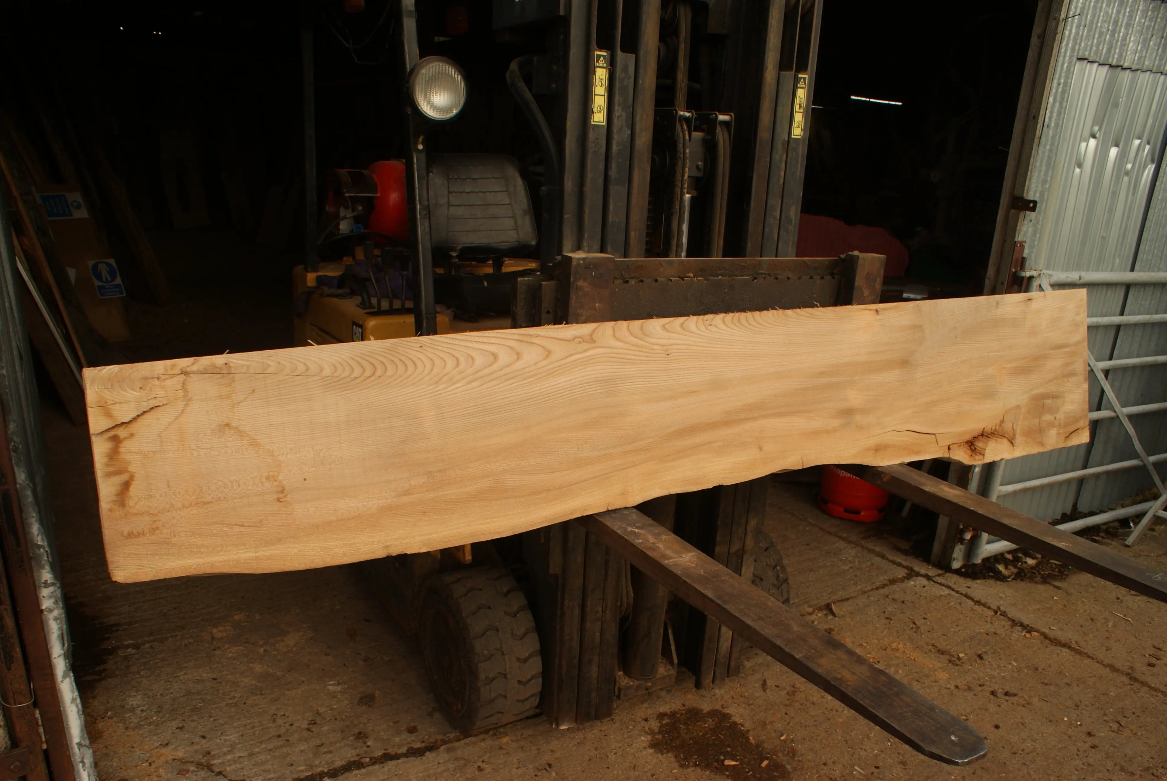 Elm Slab, Kiln Dried 2600 L x 460 - 342 W x 46 D mm   (298) elm