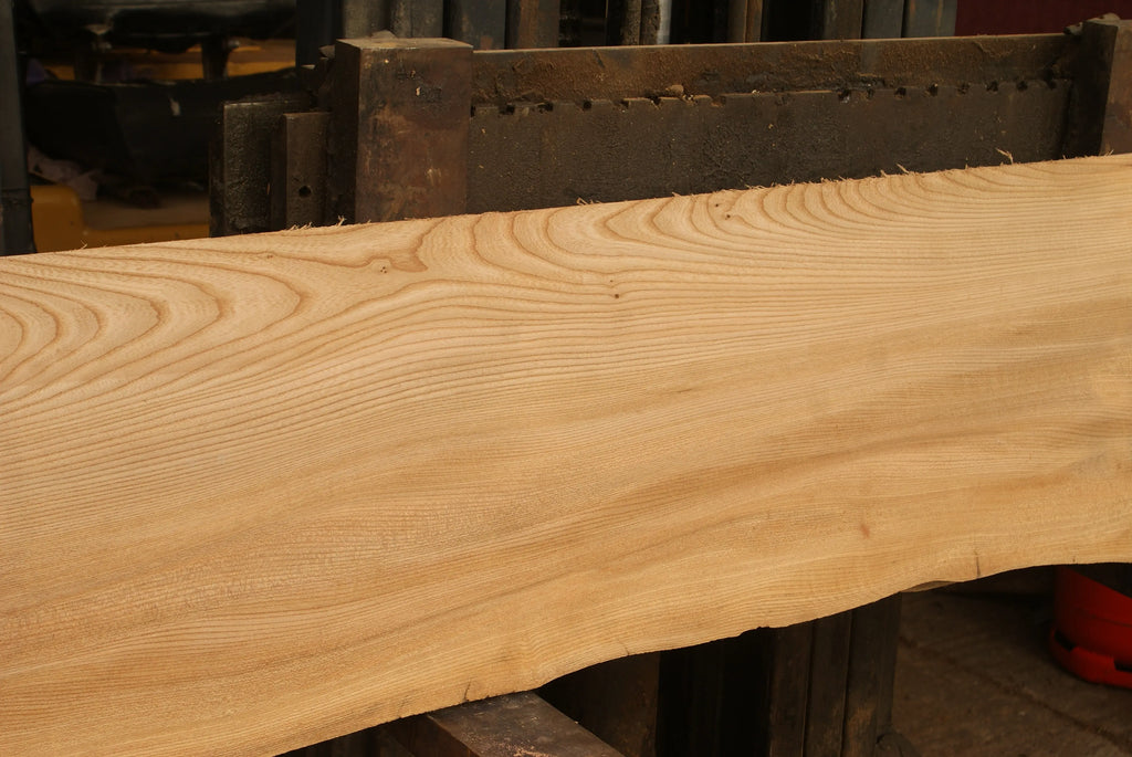 Elm Slab, Kiln Dried 2600 L x 460 - 342 W x 46 D mm   (298) elm