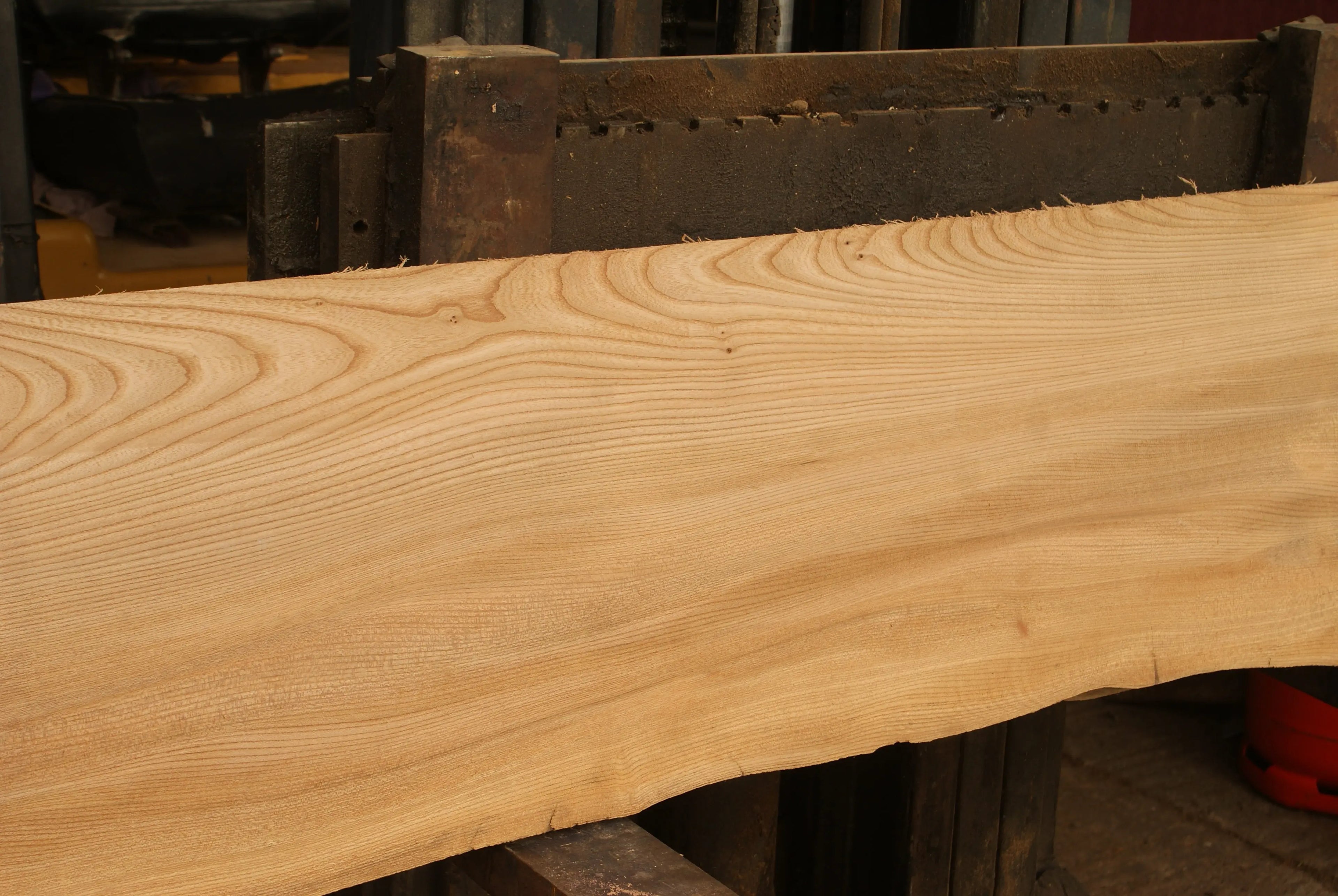 Elm Slab, Kiln Dried 2600 L x 460 - 342 W x 46 D mm   (298) elm