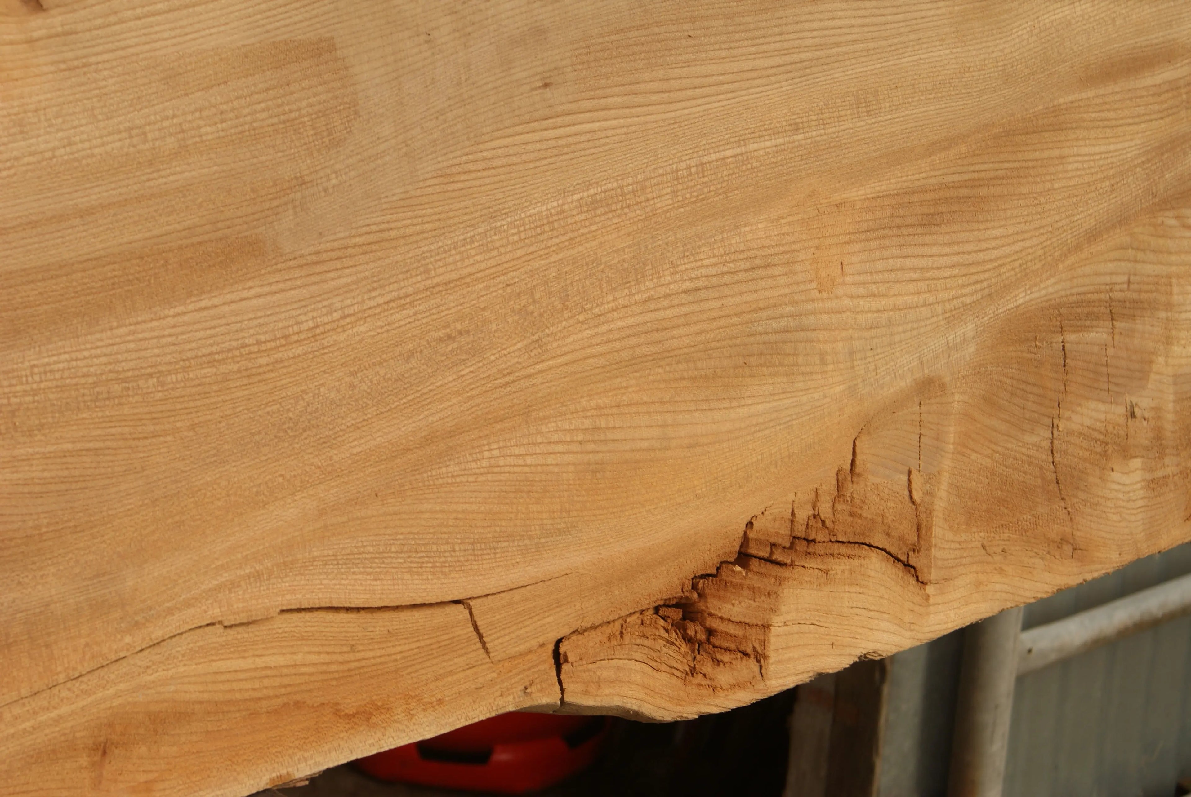 Elm Slab, Kiln Dried 2600 L x 460 - 342 W x 46 D mm   (298) elm