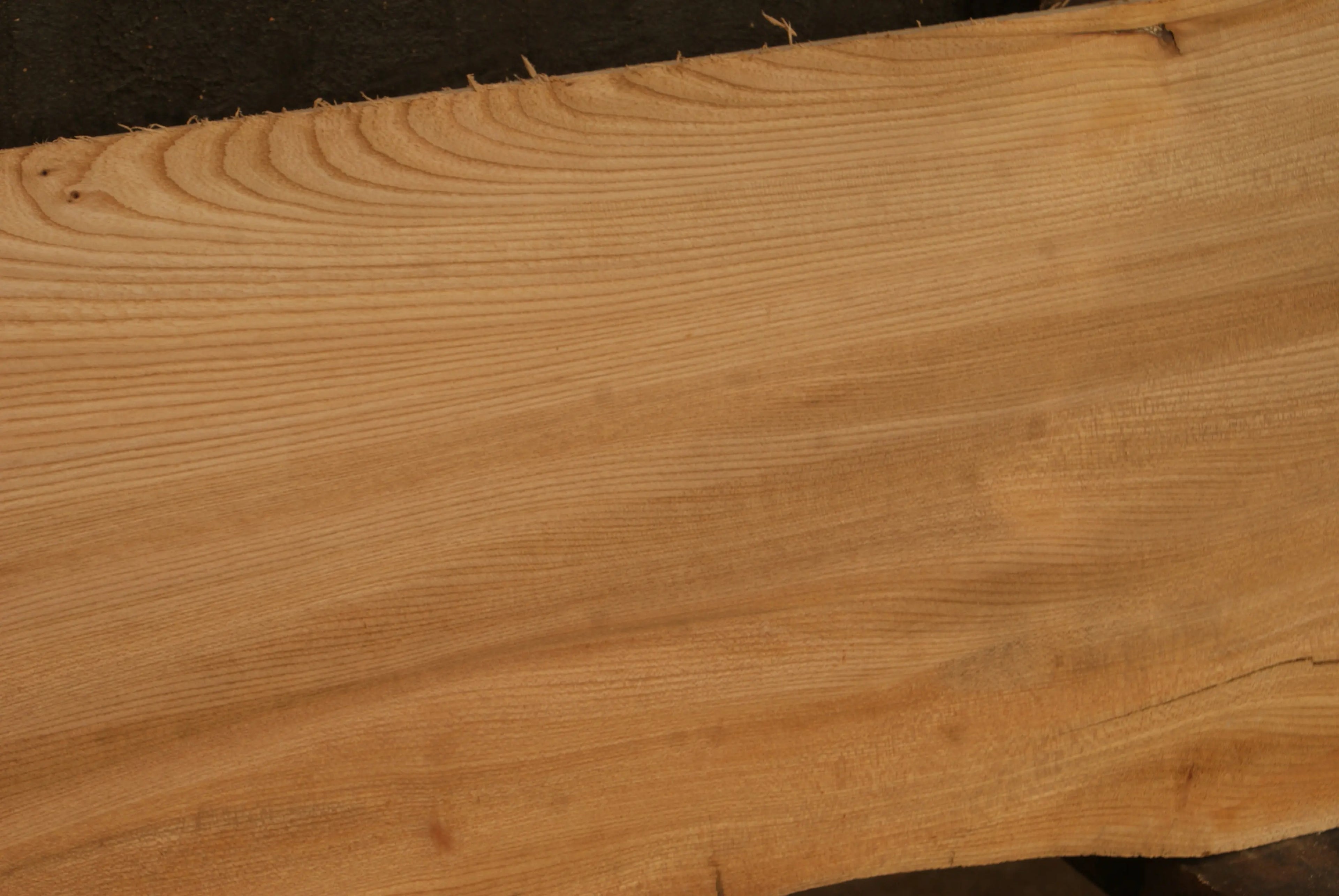 Elm Slab, Kiln Dried 2600 L x 460 - 342 W x 46 D mm   (298) elm