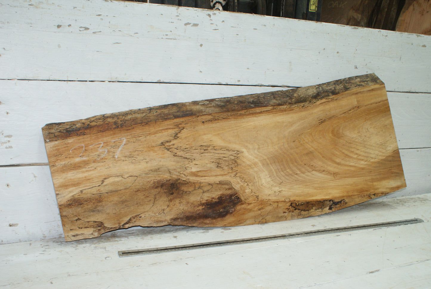Spalted Elm 1165 L x 433 - 317 W x 40 D mm   (237)