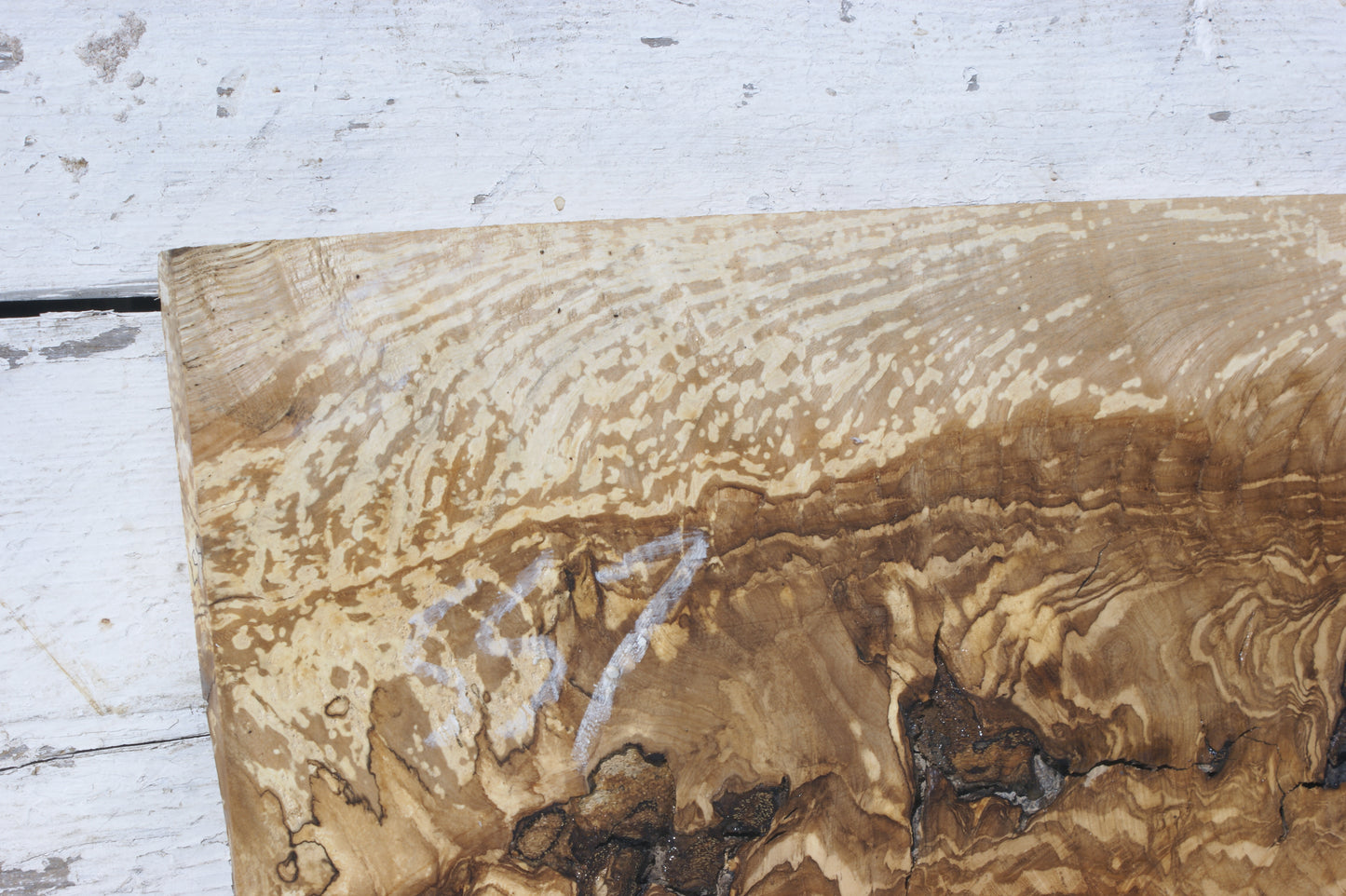 English Ash board (557)