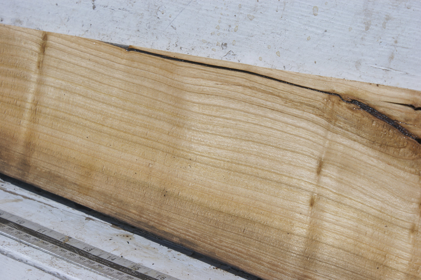English cherry board (558)