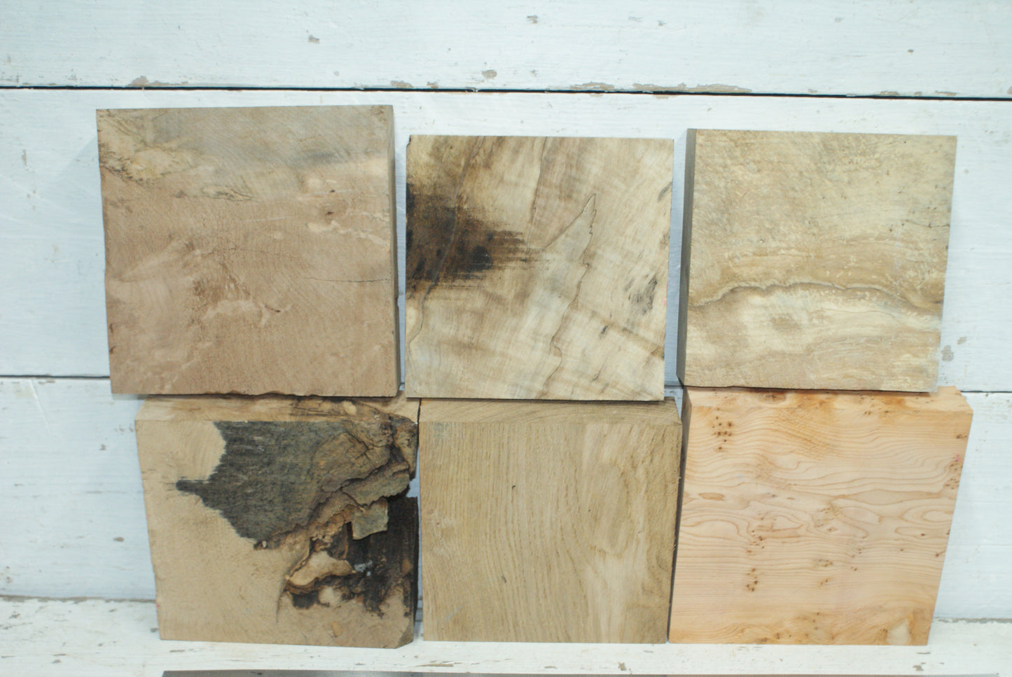 6x Wood Turning Blanks 7 x 7 x 2"  C Grade   (001)