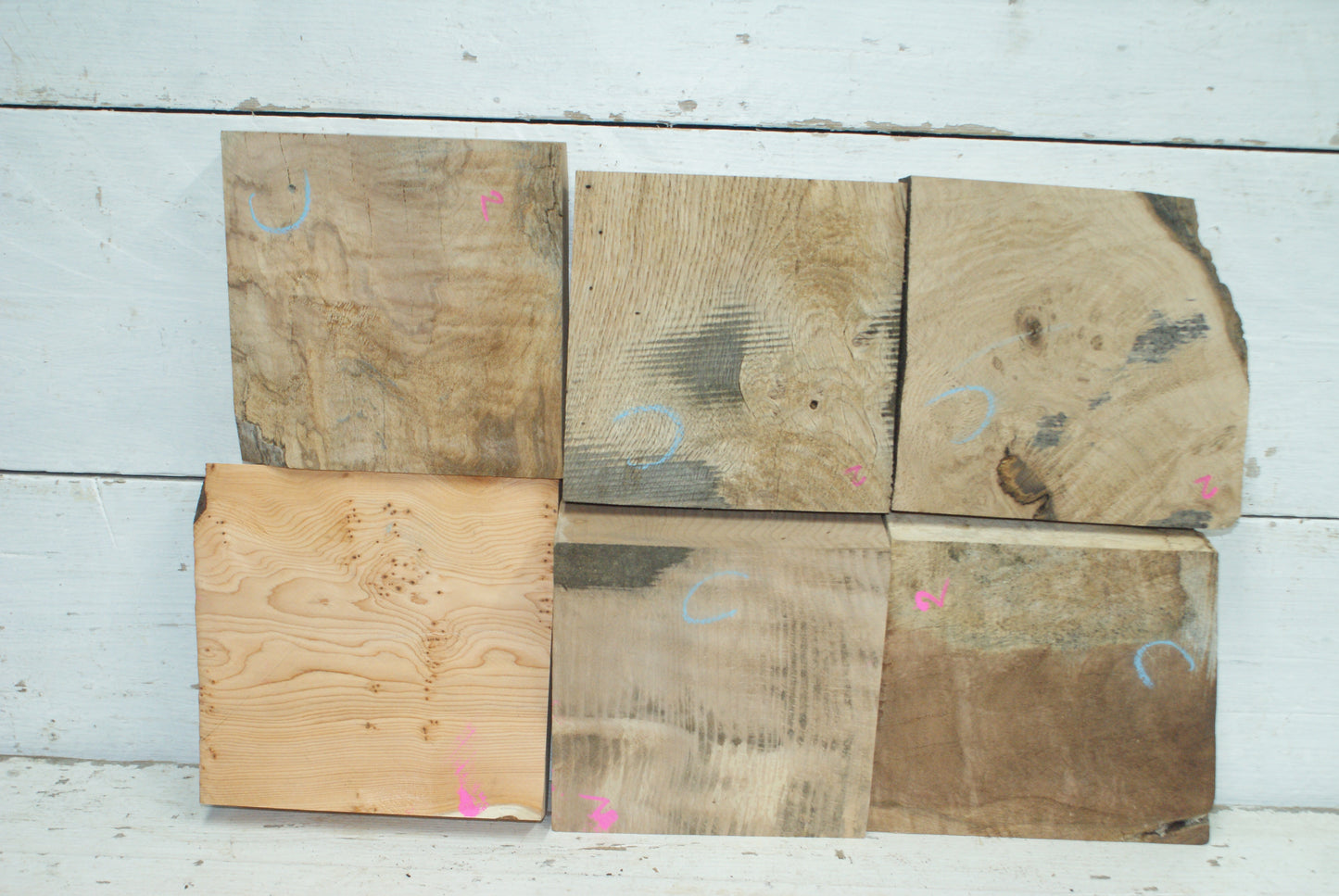 6x Wood Turning Blanks 7 x 7 x 2"  C Grade   (002)