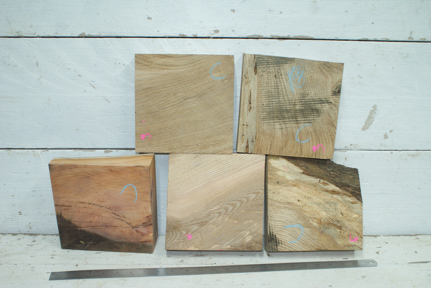 5 x Wood Turning Blanks 7 x 7 x 2"  C Grade   (003)