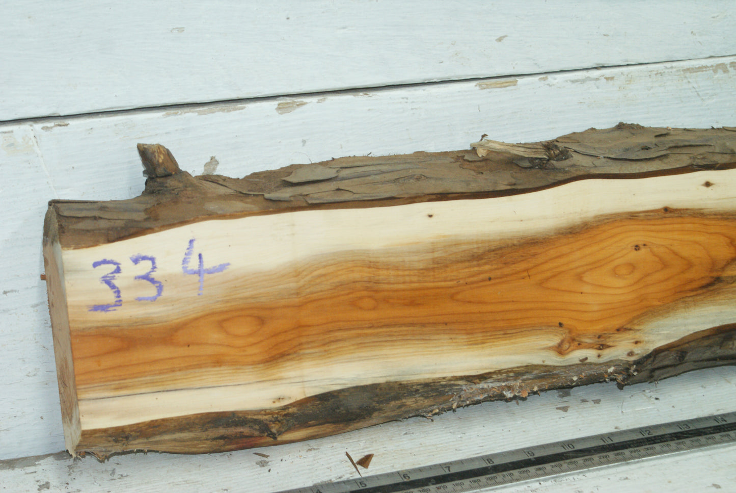 English Yew,   1059 L x 182-129 W x 45 D (mm)     (334)