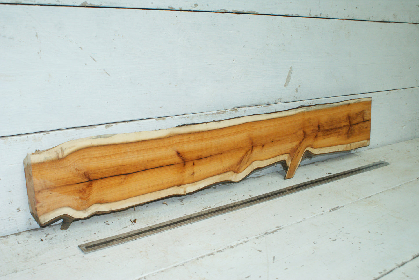 English Yew,   1059 L x 182-129 W x 45 D (mm)     (334)