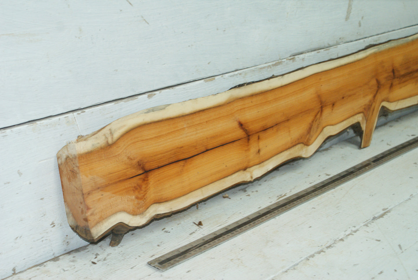 English Yew,   1059 L x 182-129 W x 45 D (mm)     (334)