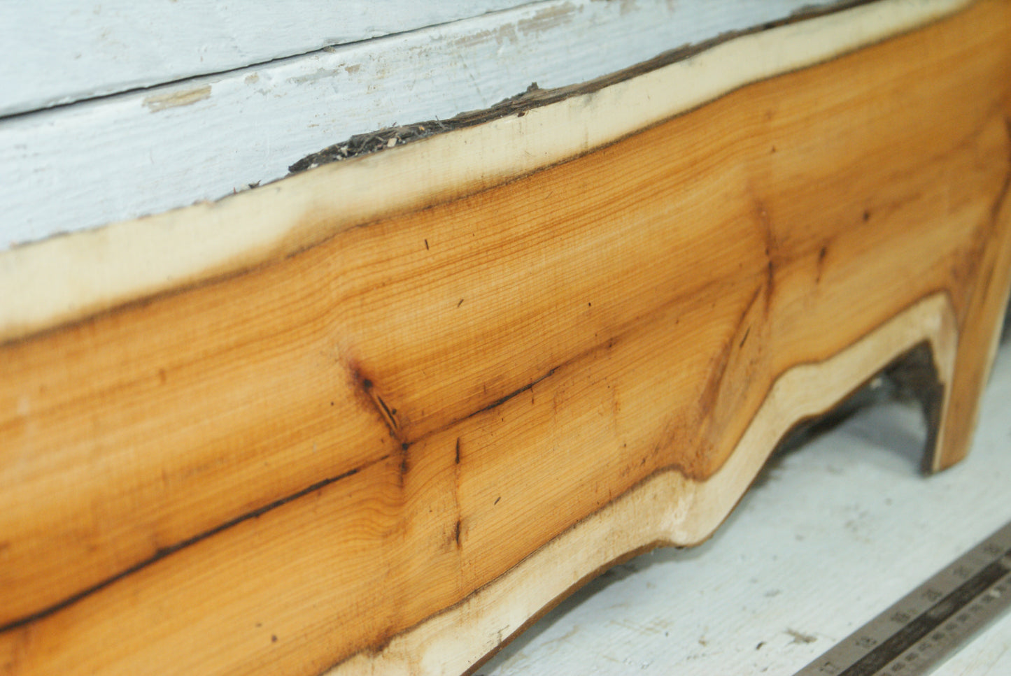 English Yew,   1059 L x 182-129 W x 45 D (mm)     (334)