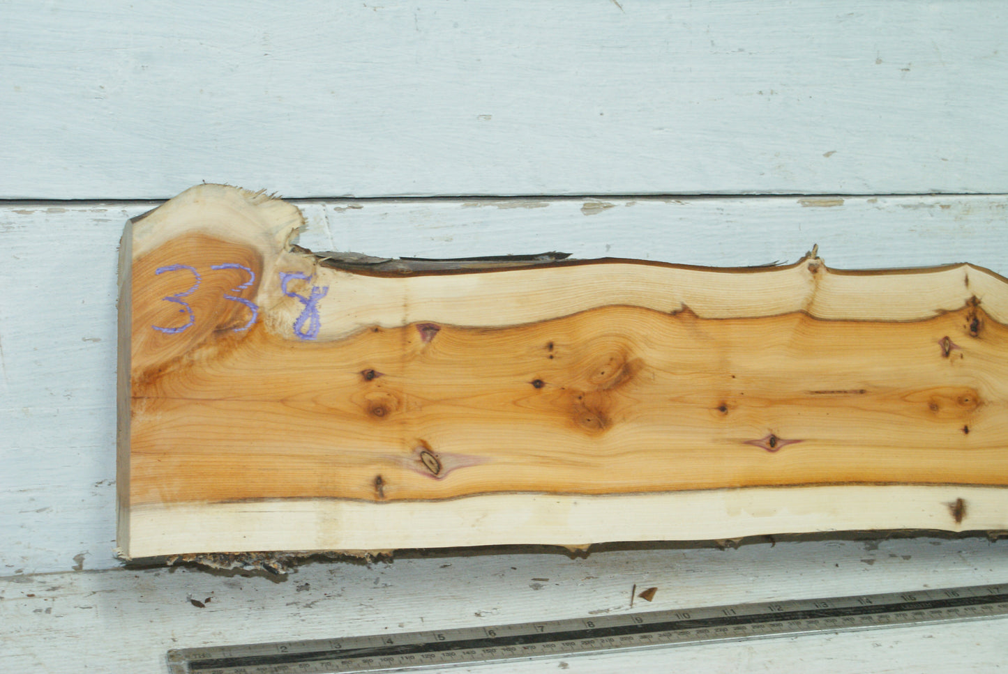 English Yew,   1100 L x 170-106 W x 45 D (mm)     (338)