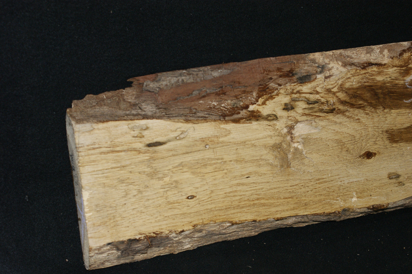 Oak shelf board 1196 L x 228-180 W x 31 D mm     (583)