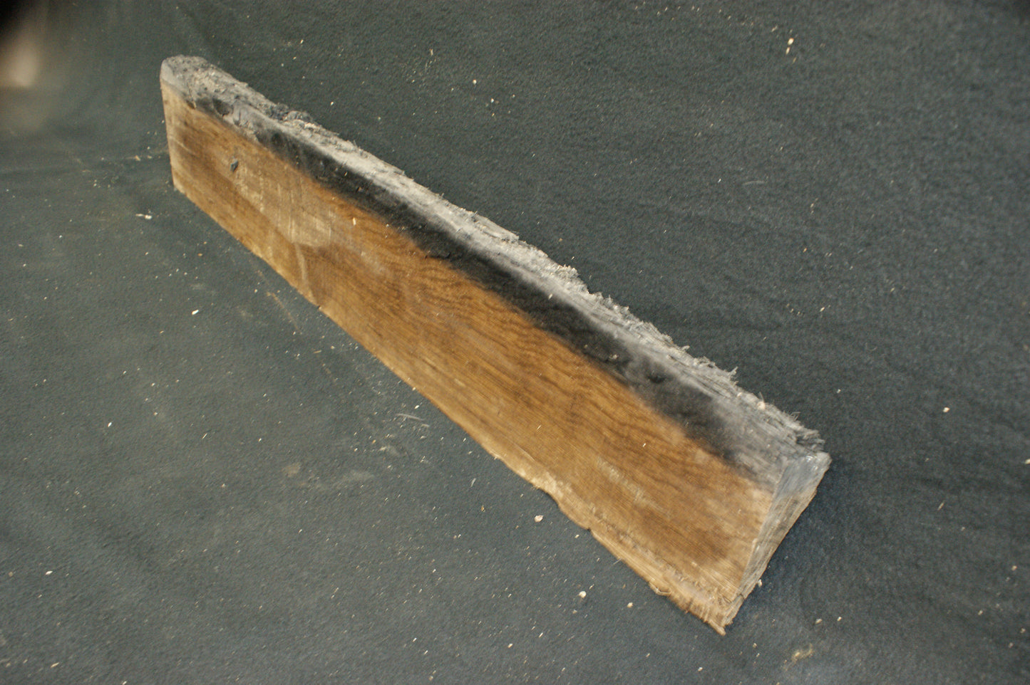 Bog oak 895 L x 145-0 W x 80-65 D mm     (587)