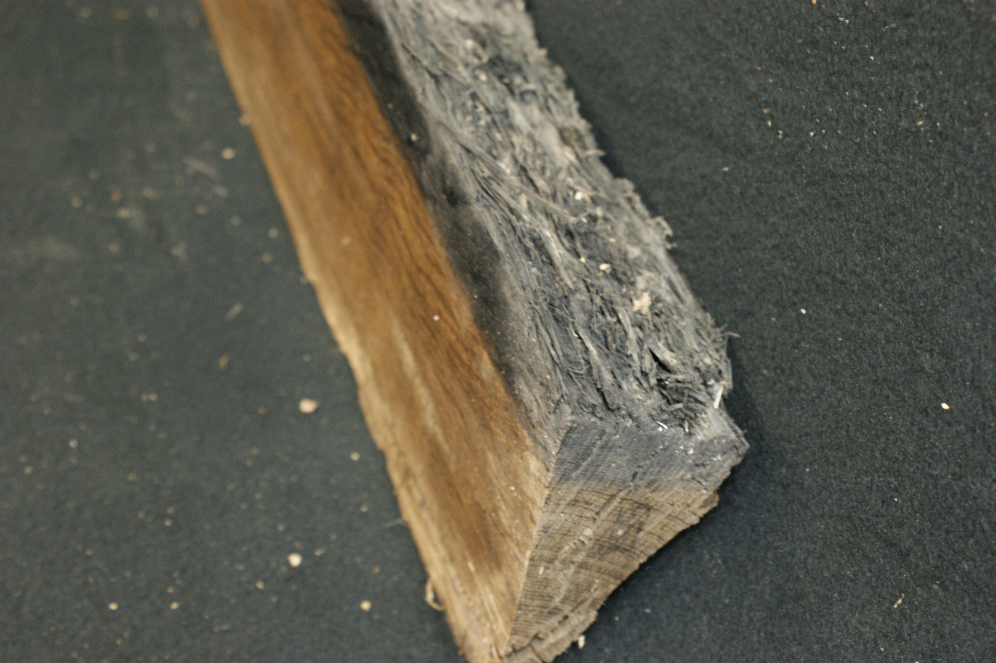 Bog oak 895 L x 145-0 W x 80-65 D mm     (587)