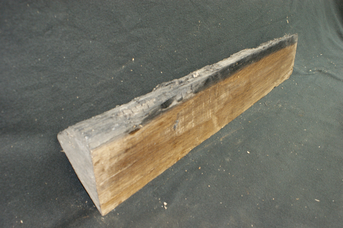 Bog oak 895 L x 145-0 W x 80-65 D mm     (587)