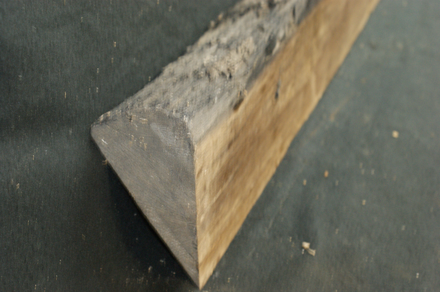 Bog oak 895 L x 145-0 W x 80-65 D mm     (587)