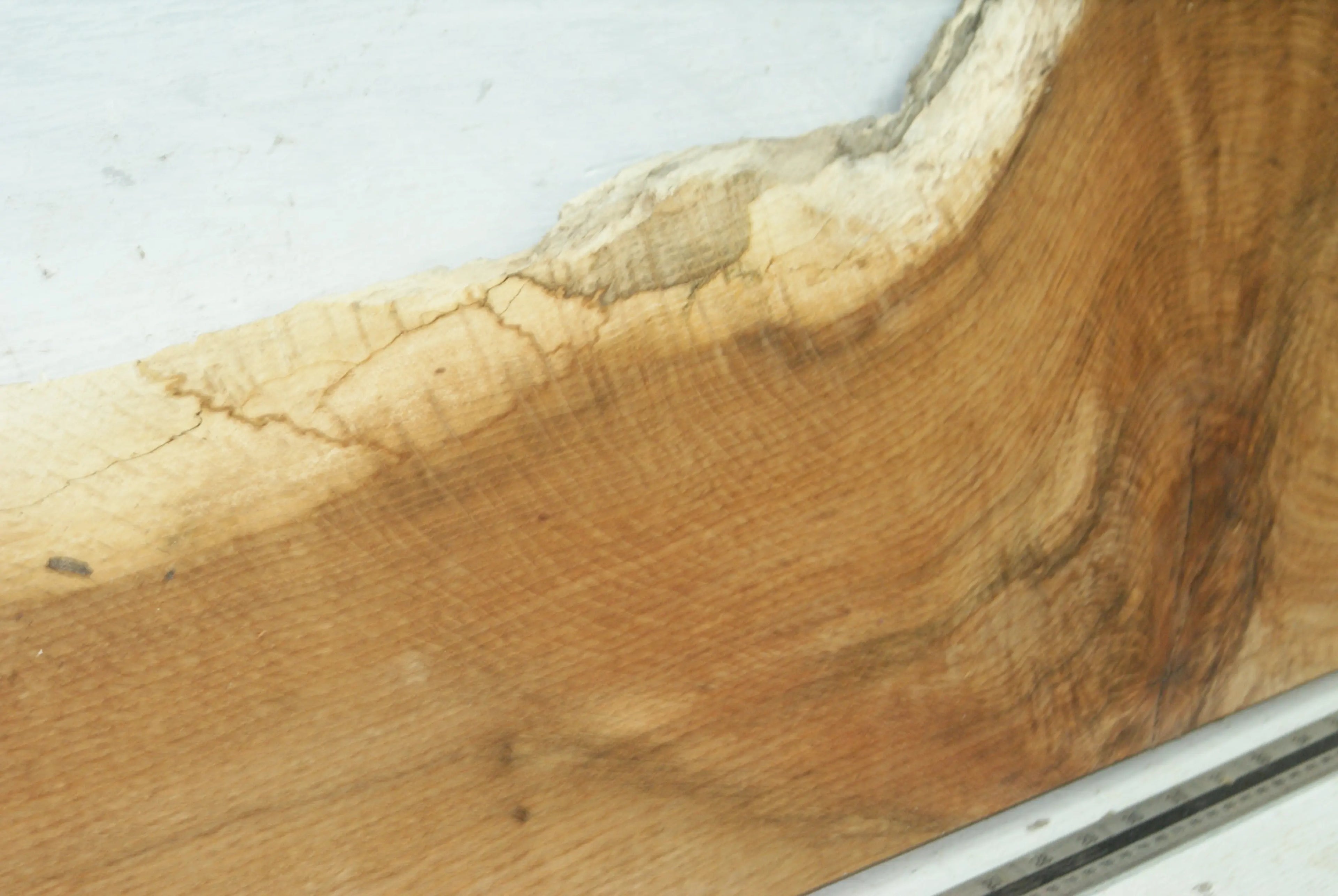 Turkey Oak 1192 L x 312 - 200 W x 47 D (mm) (431) Oak