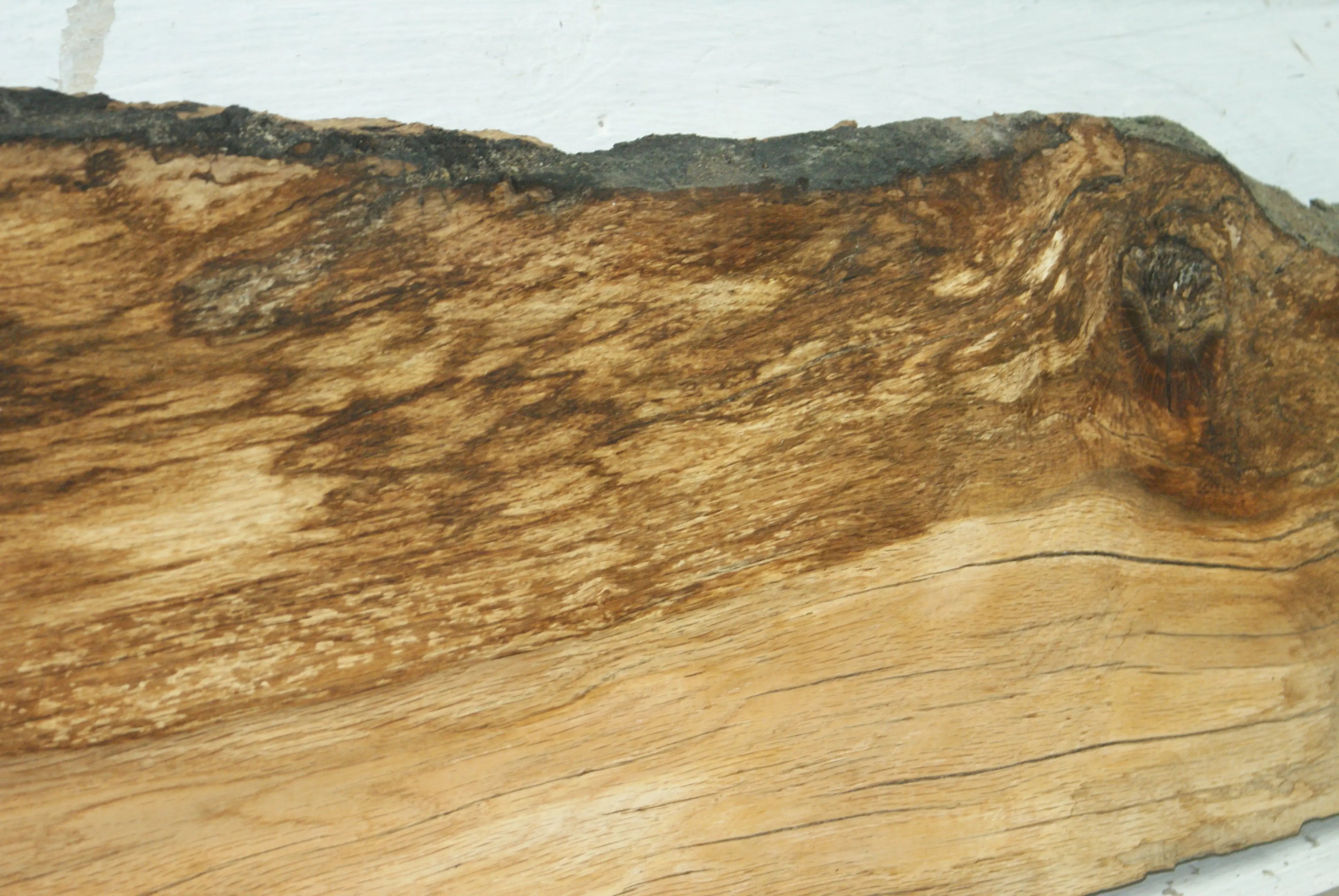 Turkey Oak 1185 L x 410-210 W x 39 D (mm) (432) Oak