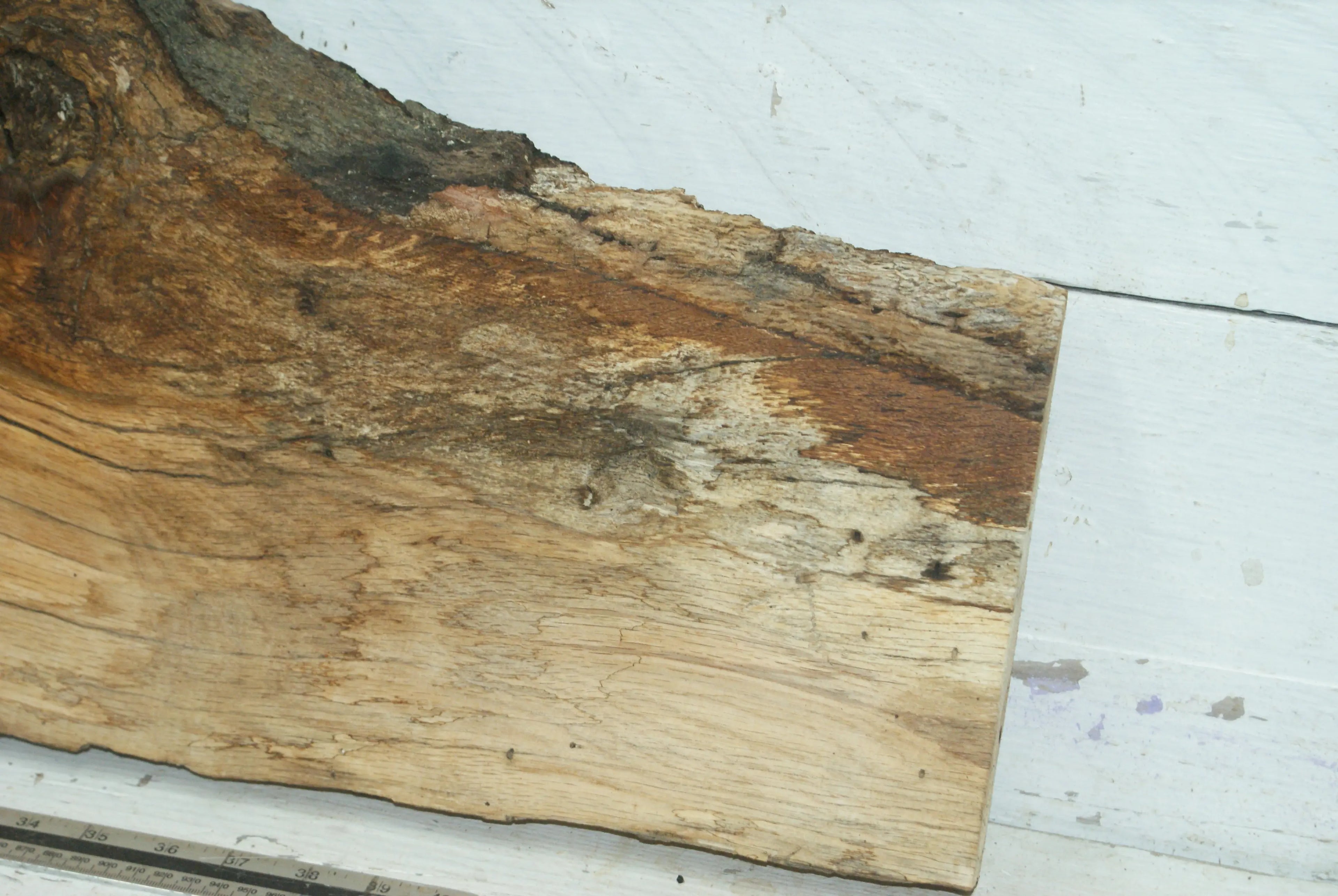 Turkey Oak 1185 L x 410-210 W x 39 D (mm) (432) Oak