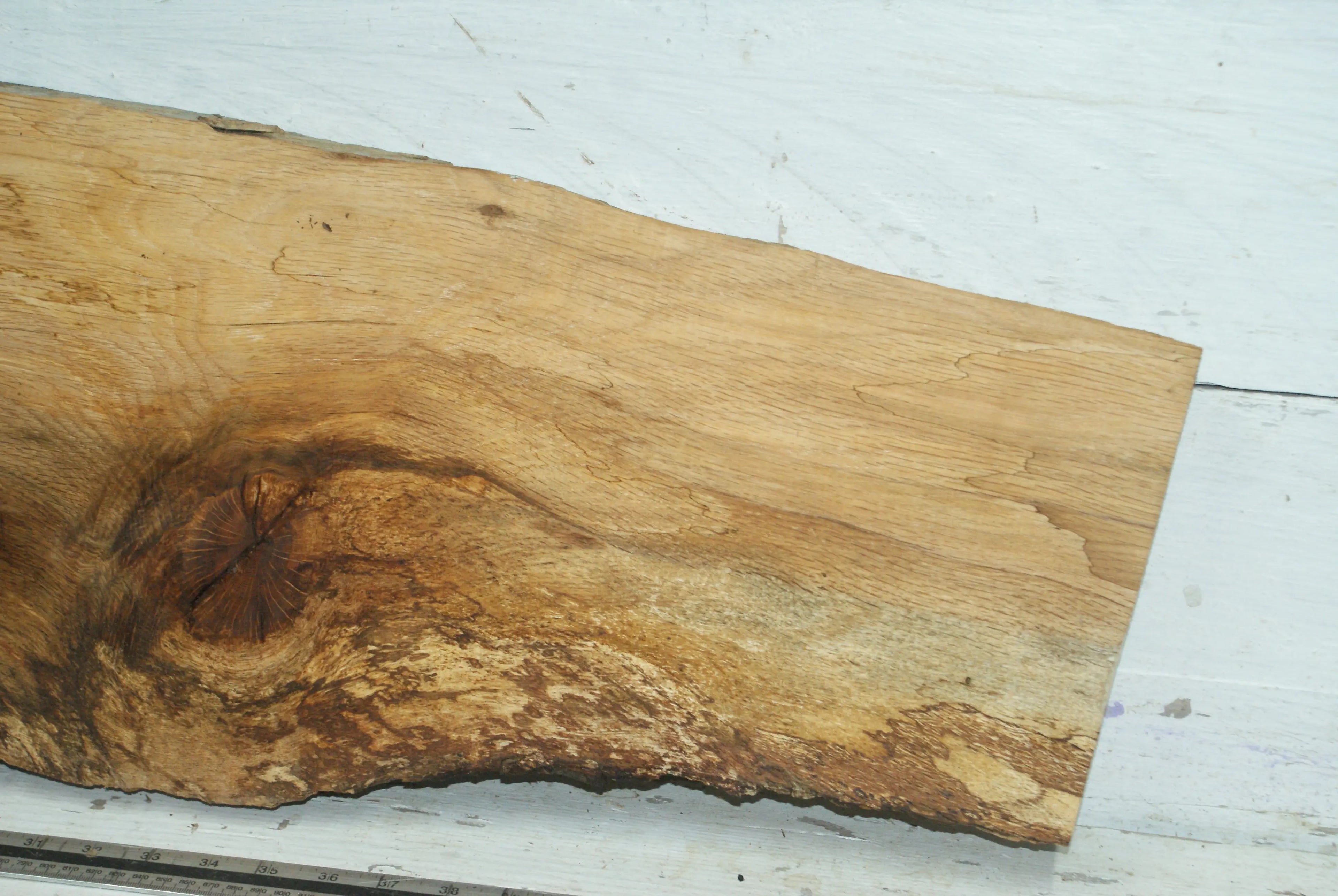 Turkey Oak 1185 L x 410-210 W x 39 D (mm) (432) Oak