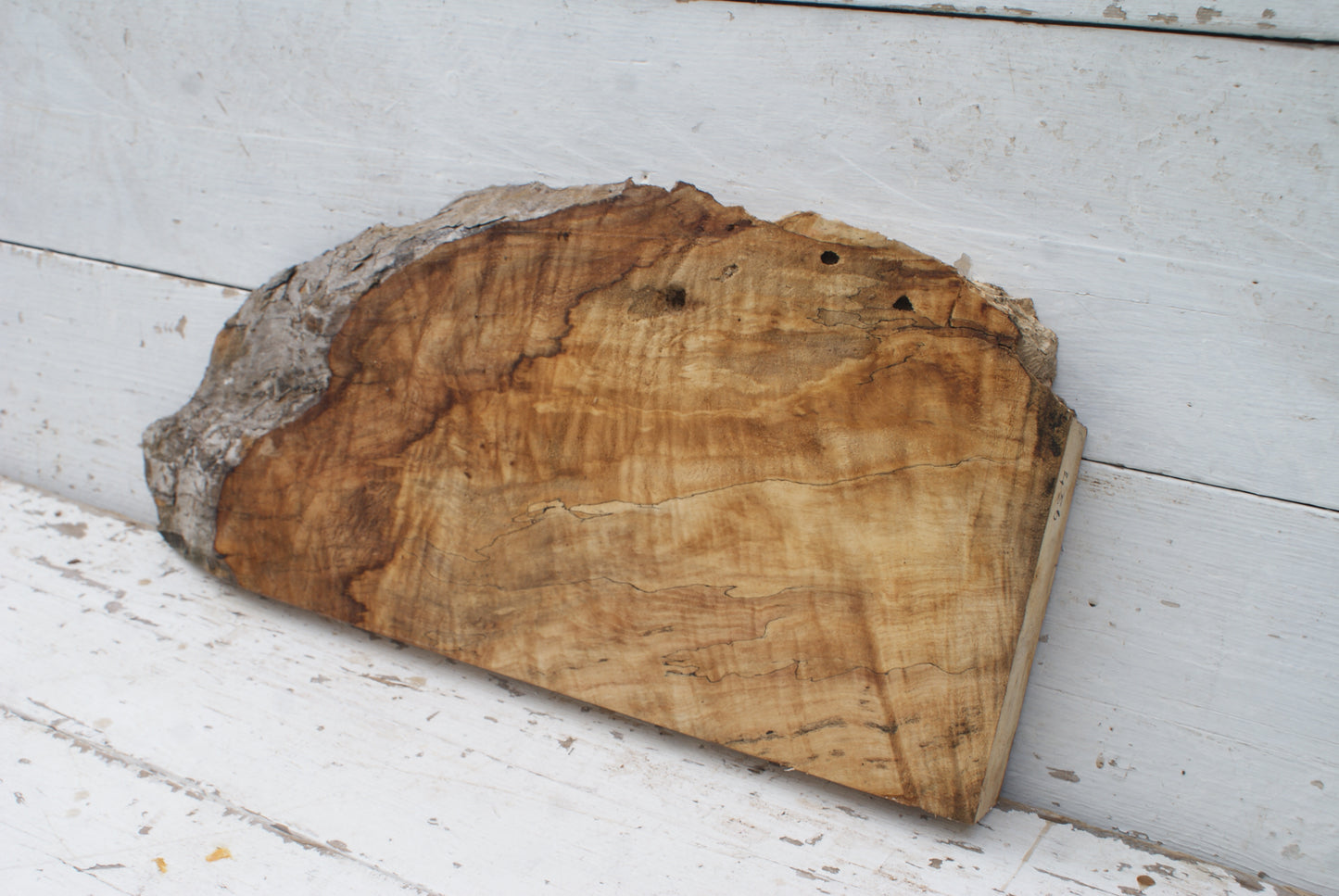 Spalted Rippled Sycamore 680 L x 280 - 106 W x 50 D (mm) (456)