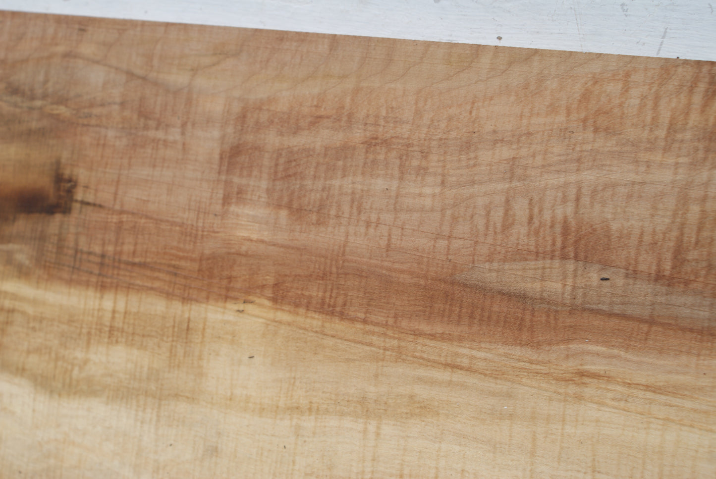 Spalted Rippled Sycamore 1278 L x 465 - 357  W x 46 D (mm) (458)