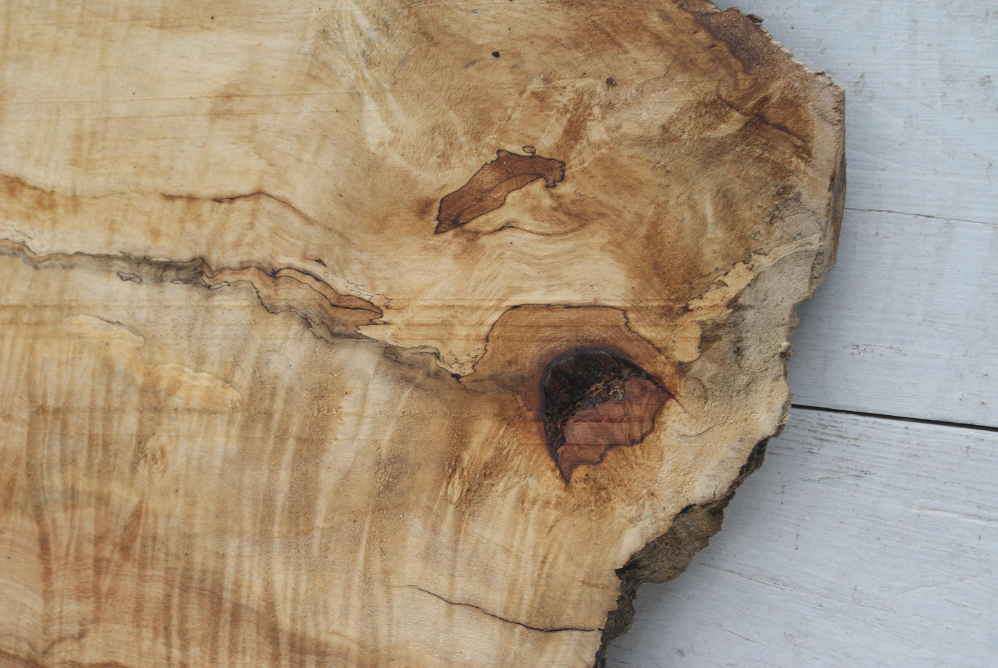 Spalted Rippled Sycamore 1155 L x 473 - 350 W x 49 D (mm) (460)