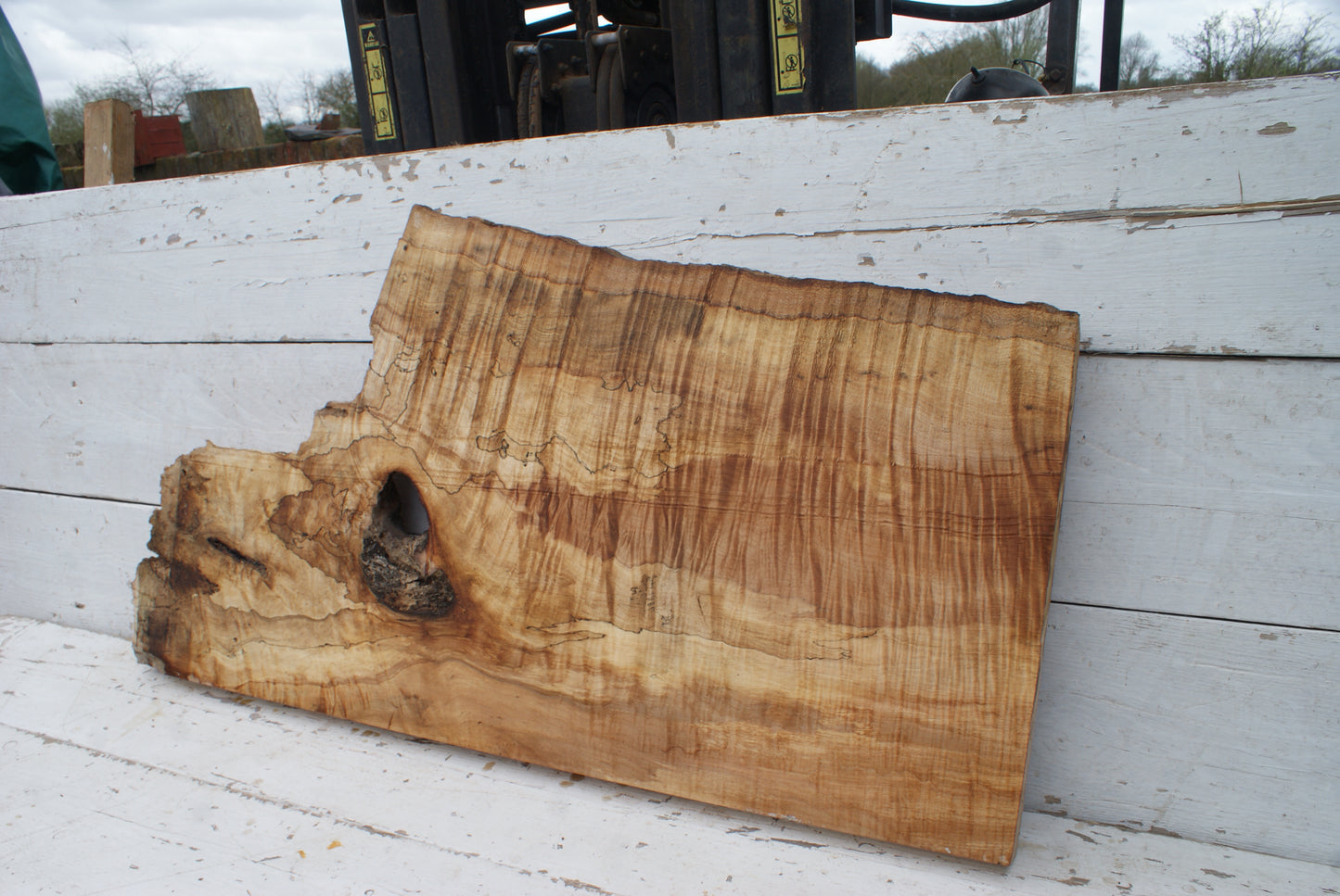 Spalted Rippled Sycamore 1091 L x 573 - 290 W x 50 D (mm) (461)
