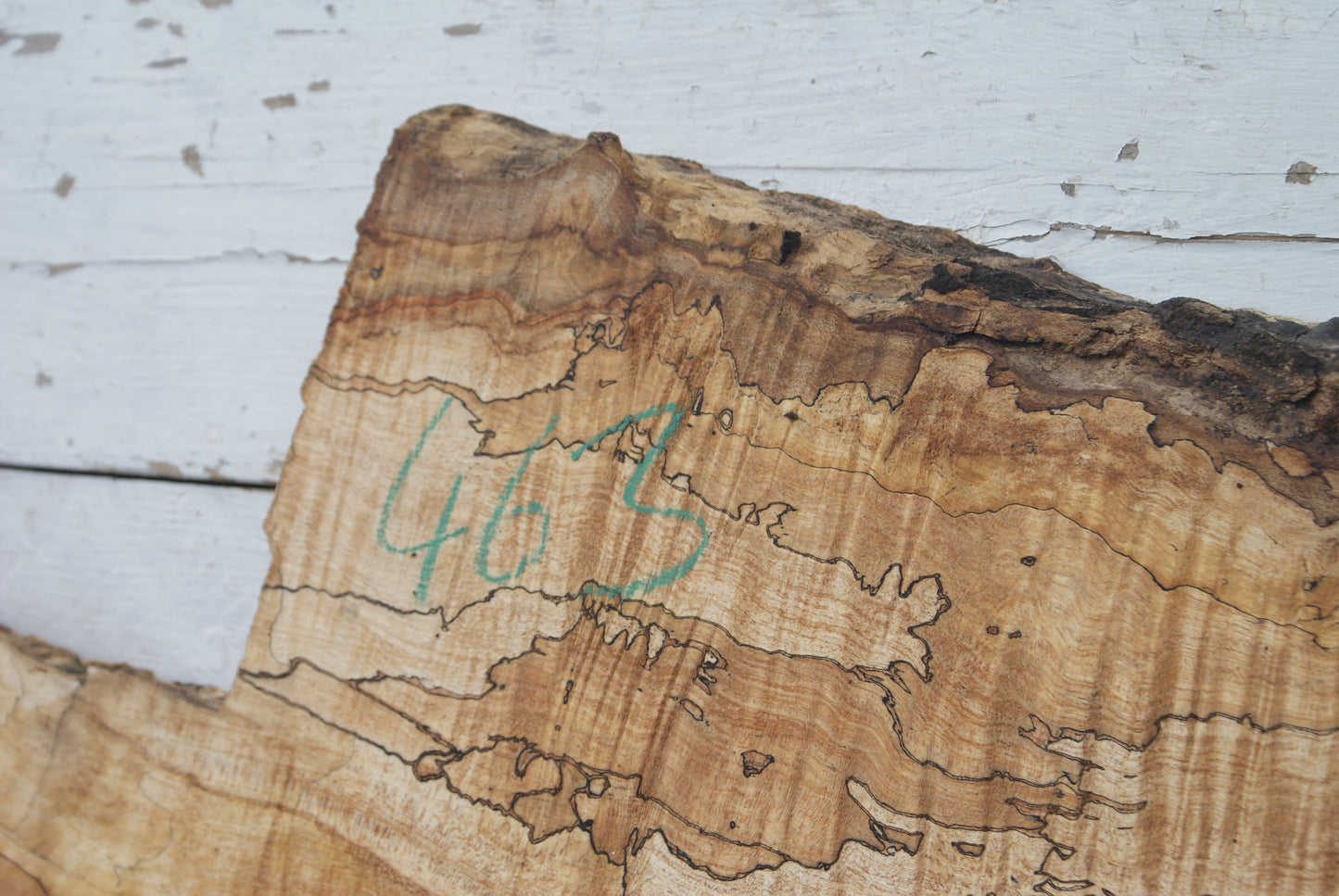 Spalted Rippled Sycamore 1120 L x 542-328 W x 49 D (mm) (463)